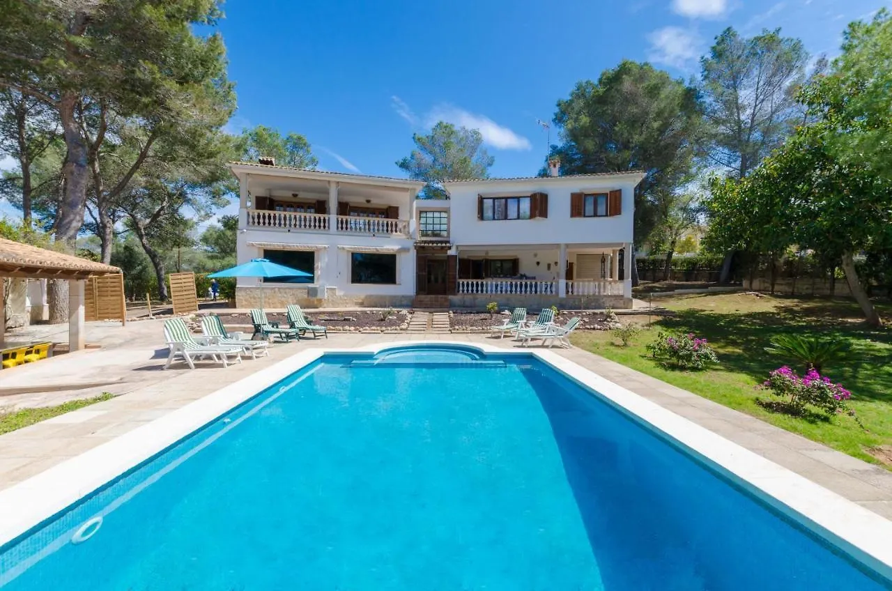Your House Can Marques location
